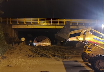 Hasta el momento, no se