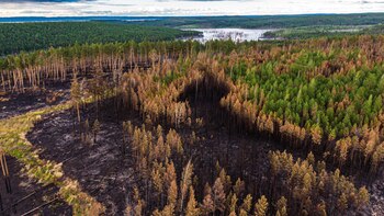 La Siberia, conocida por sus
