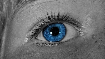 El descubrimiento de ‘olo’ abre