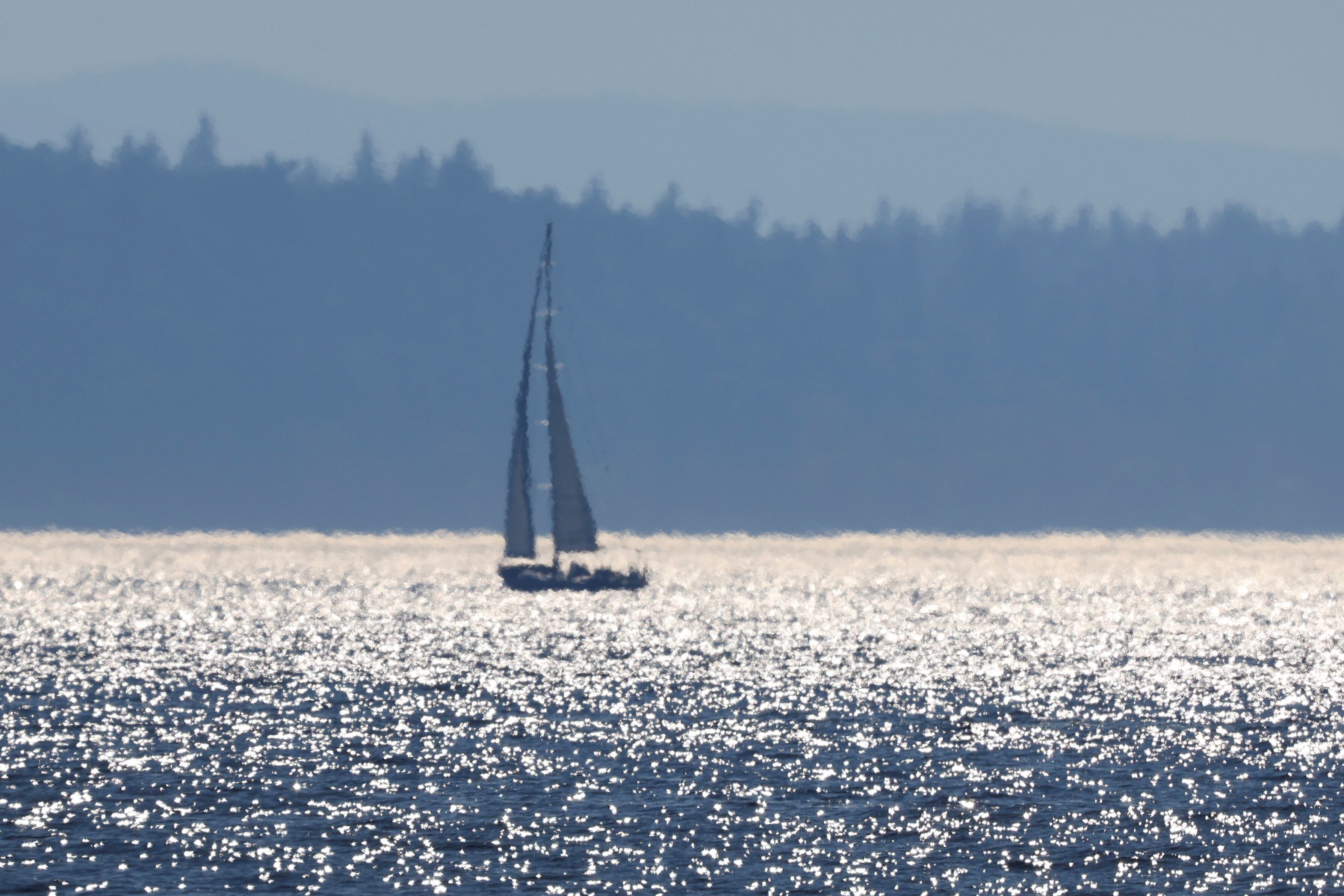 Un barco navegando en Alki Beach durante una ola de calor en Seattle, Washington en 2021 (REUTERS/Lindsey Wasson)
