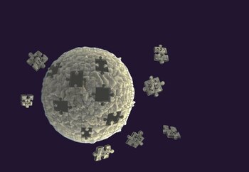 30/03/2021 Una simple célula sintética
POLITICA