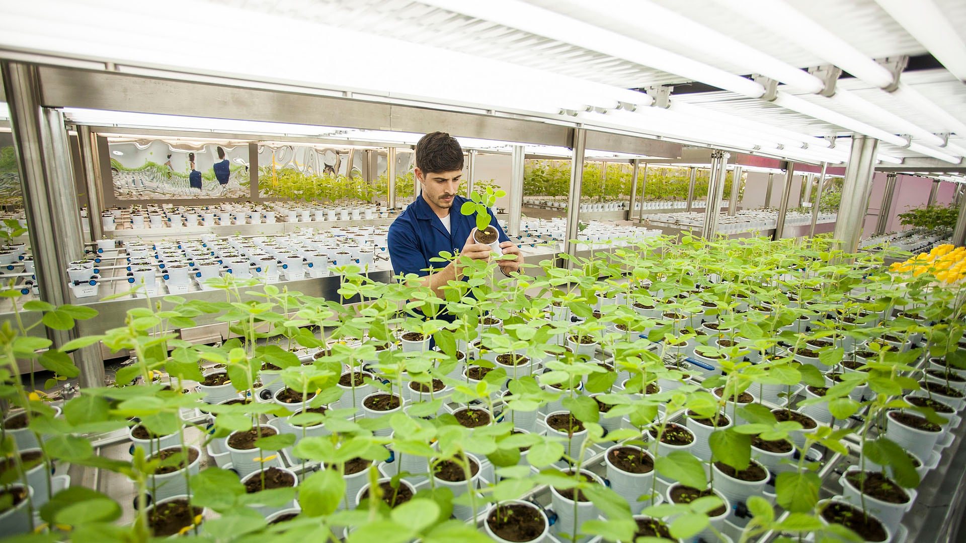 La reestructuración apunta a un canje voluntario de obligaciones negociables por nuevos títulos con vencimiento en 2029