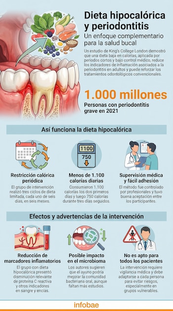 Infografía sobre dieta hipocalórica y periodontitis. Muestra dientes y encías, alimentos saludables, ciclos de restricción calórica, supervisión médica y sus efectos.