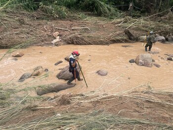 Equipos de rescate adelantan labores