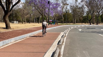 (Foto: Gobierno de la CDMX)