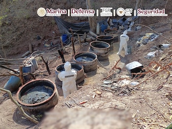 Narcolaboratorios de El jardinero localizados en Nayarit, Sinaloa y Jalisco