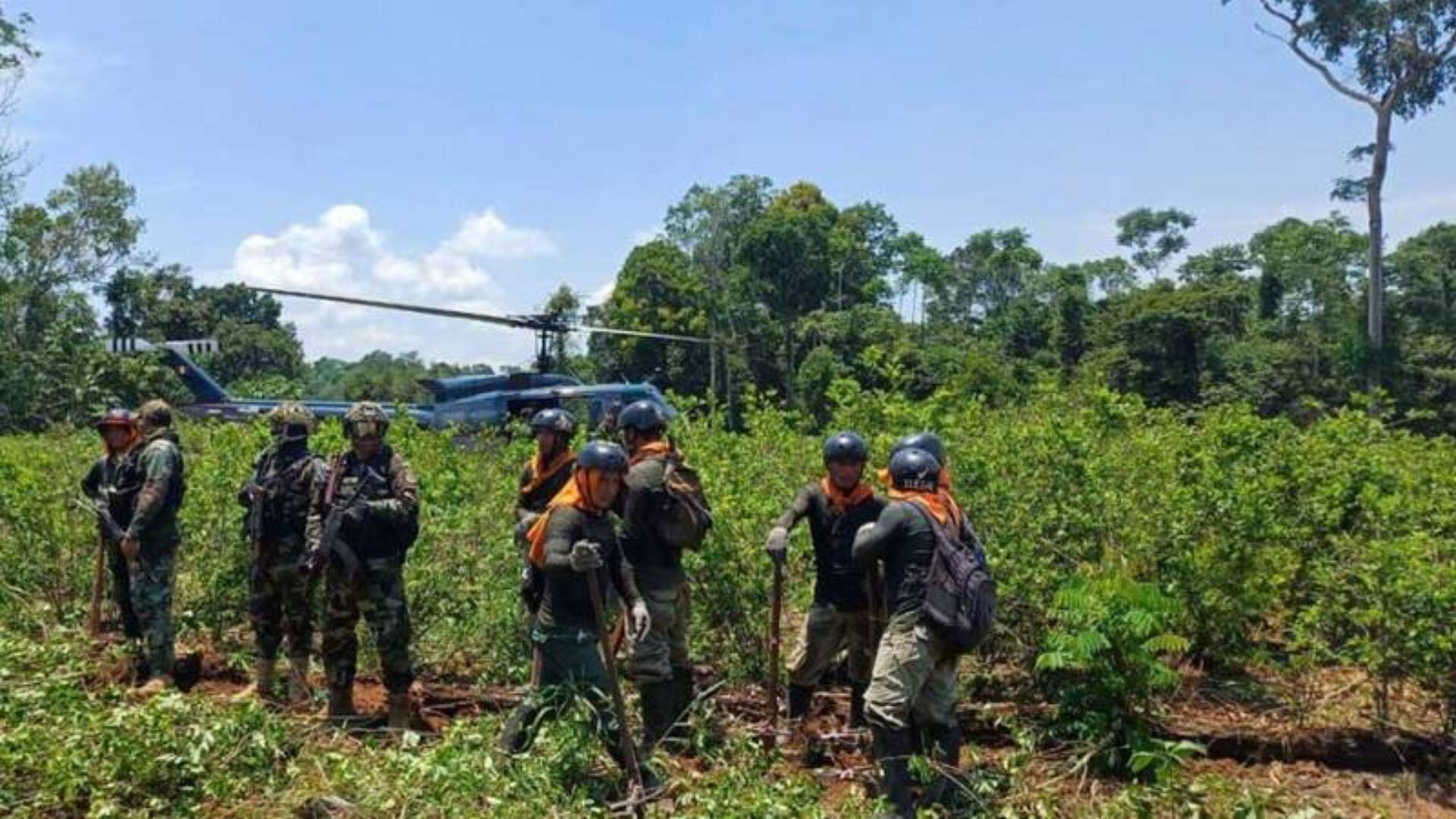 También se eliminaron 1265 metros cuadrados de camas de almácigos. (Mininter)