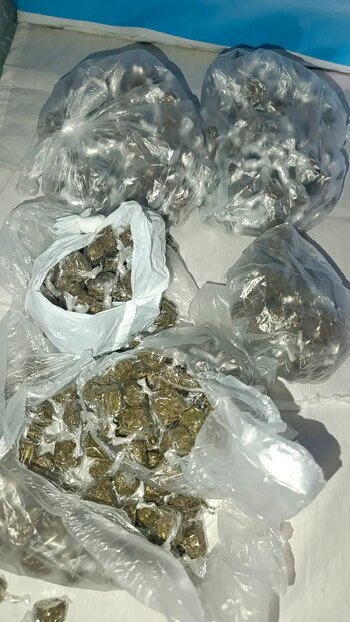 Parte de la droga hallada