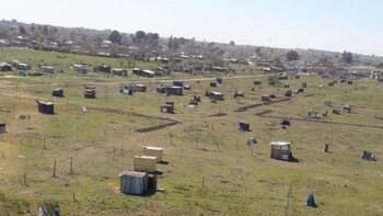 En las 100 hectáreas viven