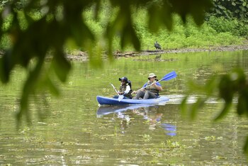 La carta dirigida a la