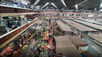 Cuál fue el origen del