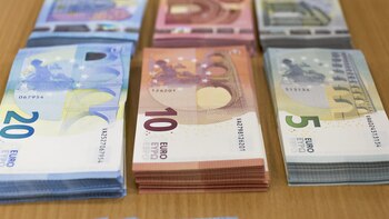 El euro pierde terreno en