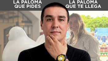 Publicación de Matador sobre Paloma