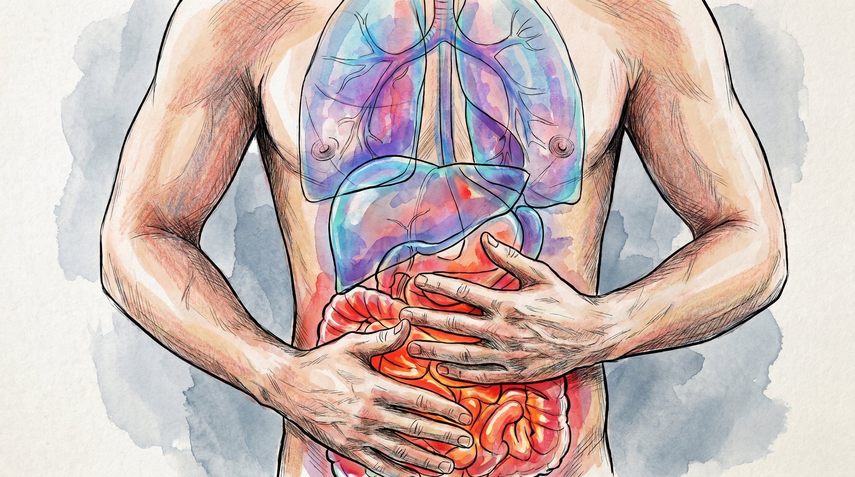 Cuáles son las 5 dimensiones que determinan un intestino sano, según un consenso internacional