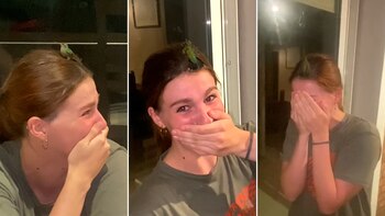 Se posó un colibrí en