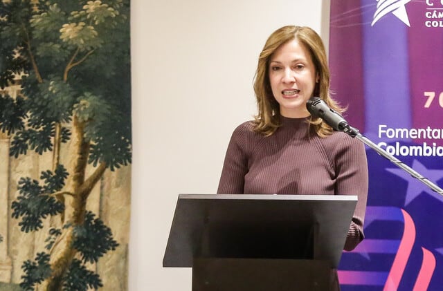 Presidenta de AmCham acogió crecimiento del PIB, pero advirtió que es por excesivos gastos del Gobierno: “Hoy vemos más maquillaje que cirugía”