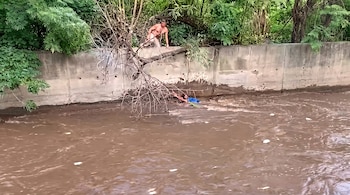 Un hombre dentro de un canal de agua marrón se sujeta a ramas secas mientras otra persona intenta ayudarlo desde la parte superior de un muro.