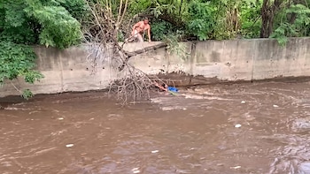 Se aferró a una rama para sobrevivir: Dramático rescate de un hombre en un cauce de Managua