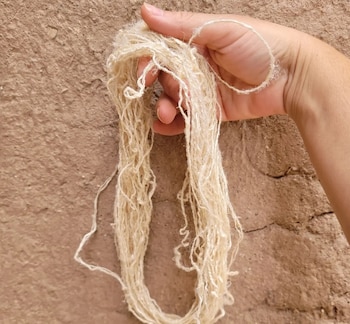 Una mano sostiene una madeja de fibras claras y delgadas frente a una pared de tierra