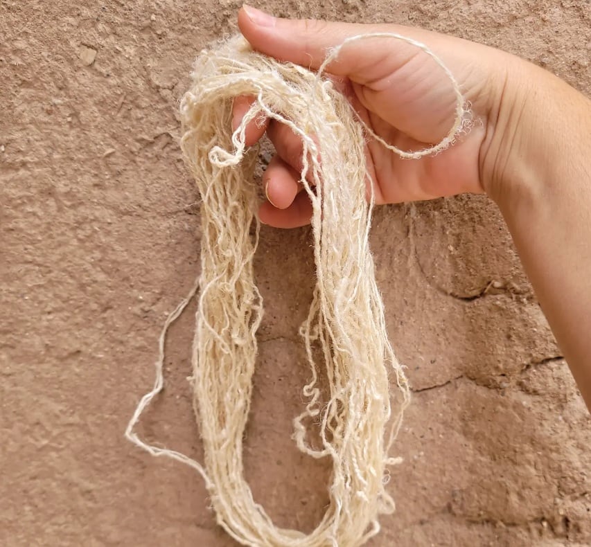 En el Valle Calchaquí, Linera Kamayana reactivó el cultivo de lino textil y armó un banco de semillas propio junto a familias productoras de la comunidad El Barrial (Foto: Instagram)