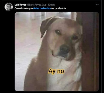 (Foto: Captura de pantalla)