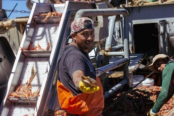 Captura Salvaje revela el trabajo