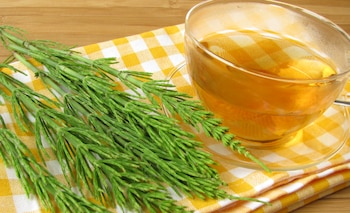 La Cola de Caballo no