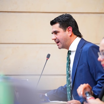 El vicepresidente de la Cámara aclaró que su petición no sostiene que la conducta de un congresista pueda invalidar por sí sola una ley - crédito @simonmolinag/X