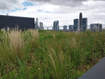 Existen diversos tipos de techos