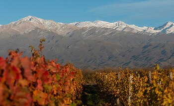 La premiación World’s Best Vineyards 2024 reconoció a 6 bodegas argentinas entre las 50 mejores del mundo, destacando experiencias únicas (Bodega Salentein)