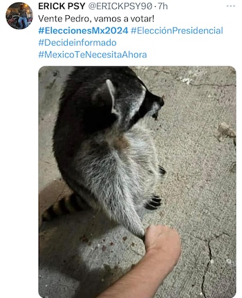 Los memes han comenzado a