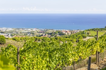 Alella (Shutterstock)