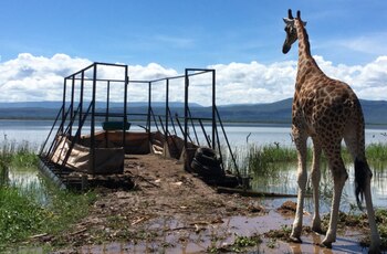 El Servicio de Fauna Silvestre