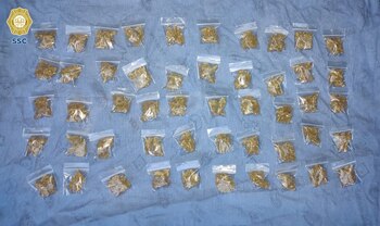 Cártel de Sinaloa CDMX Tepito los Sinaloas (Foto: SSC-CDMX)