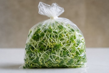 Bolsa de plástico transparente atada en la parte superior que contiene brotes verdes de brócoli sobre una mesa clara.