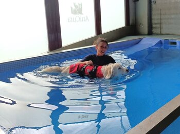 Imagen JYPY3VRGQJDKFMSOWG3UCLWRHM