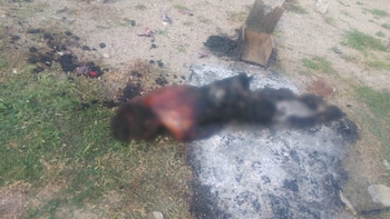 La fiscalía de Oaxaca informó