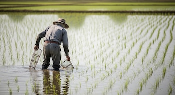 El sector agrícola enfrenta altos