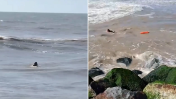 Video: el dramático rescate de