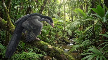 Así es cómo aprendieron a volar las primeras aves