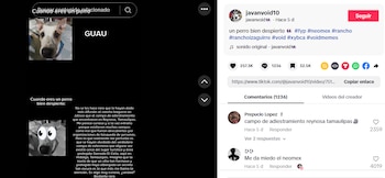 Los memes del vacío se