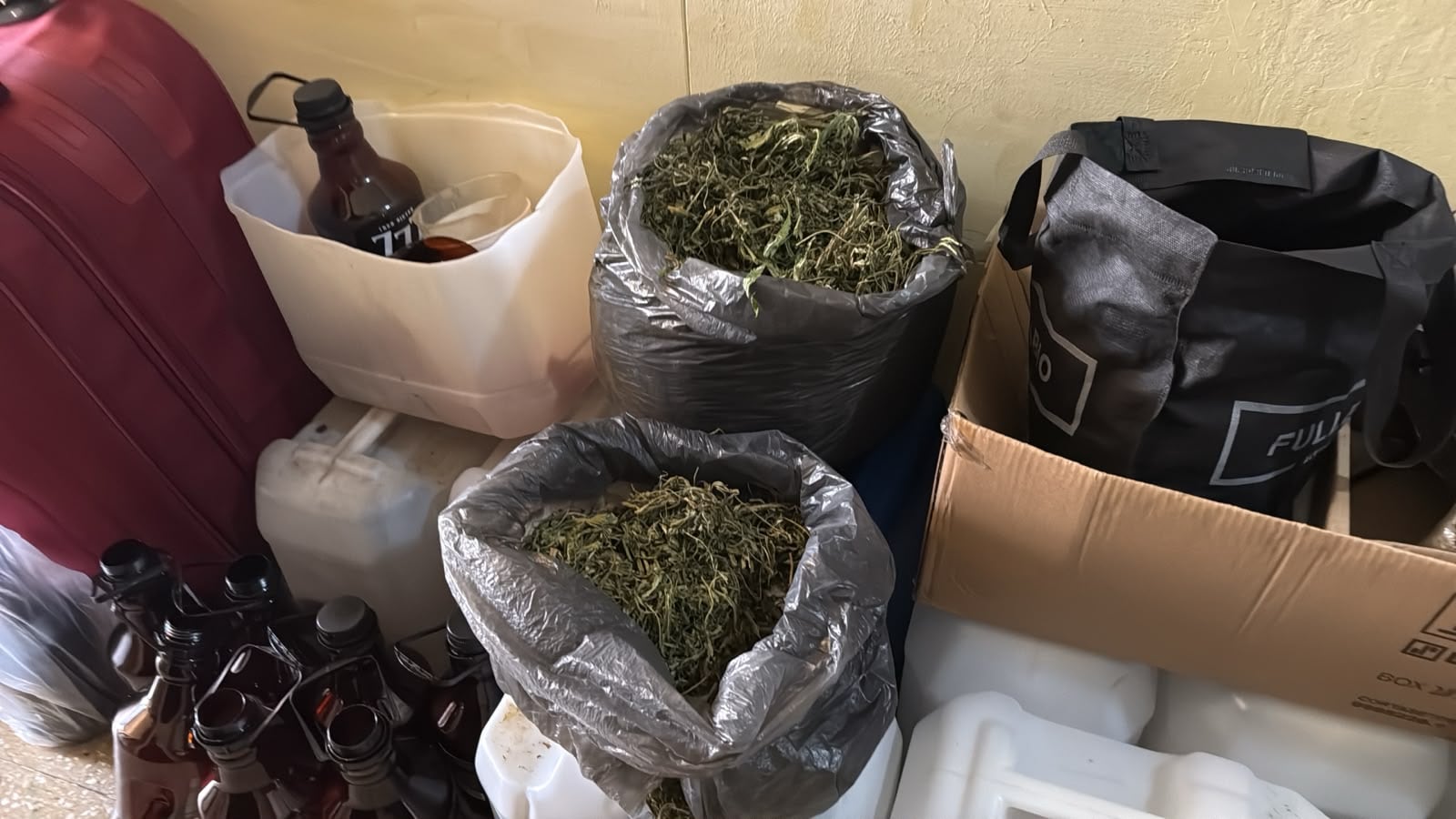 En la vivienda también hallaron un cultivo indoor, plantas de cannabis, hojas de marihuana, cogollos y elementos de fraccionamiento de las bebidas