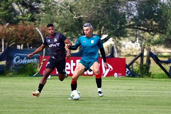 El cuadro 'Cardenal' ya se