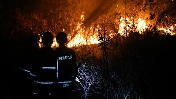 Detenidas en Indonesia más de 70 personas sospechosas de provocar incendios forestales
