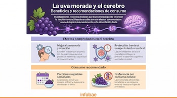 Infografía sobre la uva morada y el cerebro, mostrando uvas, un cerebro con neuronas, íconos de memoria, protección cerebral y pautas de consumo.