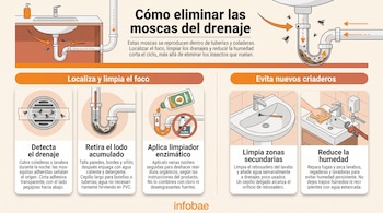 Infografía explicativa con ilustraciones de lavabos, tuberías y cepillos de limpieza para eliminar moscas de drenaje.