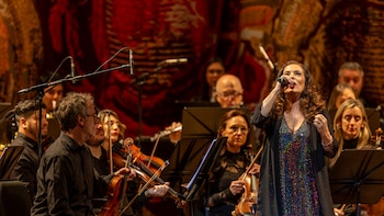 30 fotos: Fleni celebró una nueva Gala Solidaria en el Teatro Colón