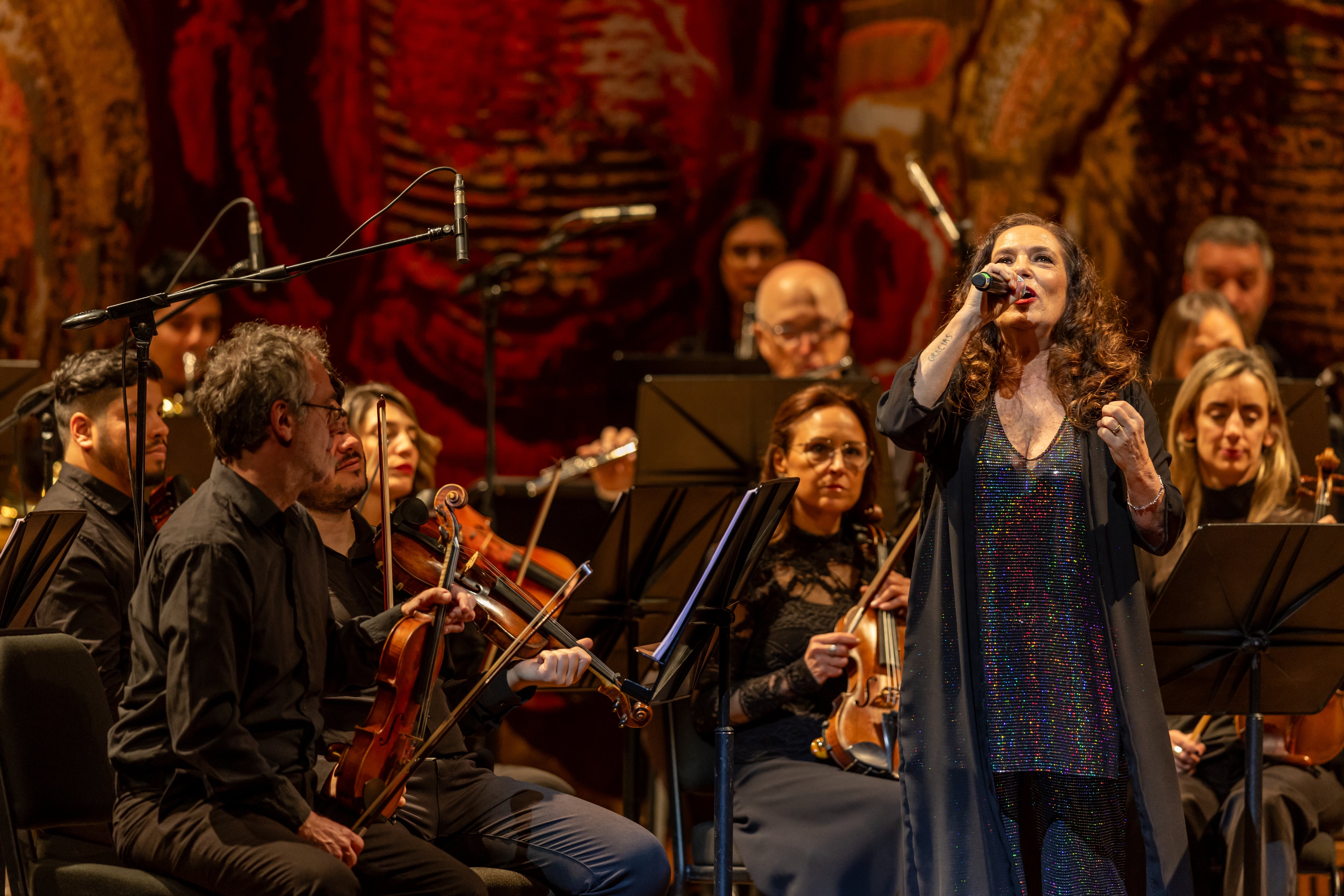 30 fotos: Fleni celebró una nueva Gala Solidaria en el Teatro Colón