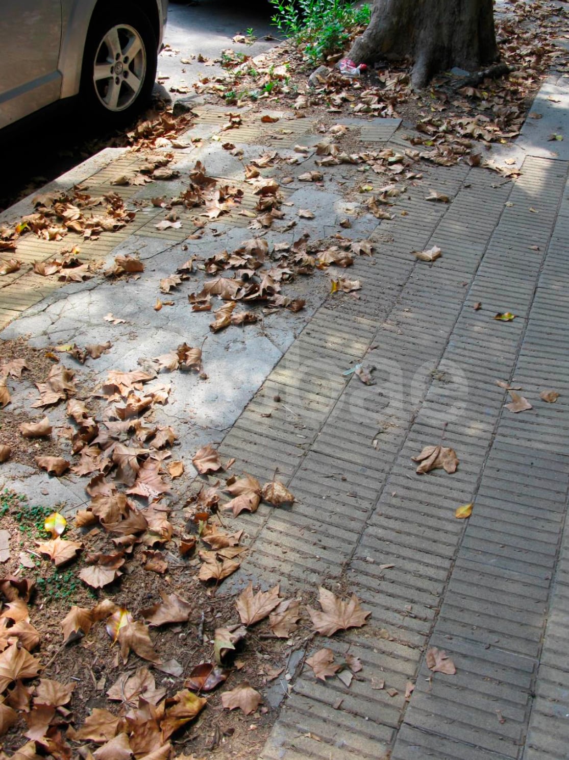 El tribunal resolvió que la pericia de arquitectura y las fotografías no probaron que el desperfecto de la vereda hubiera causado el accidente y recordó que la responsabilidad del Estado exige una conexión directa con el daño. Imagen del informe pericial (Poder Judicial)