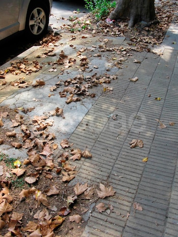 Reclamó una indemnización por tropezar en la vereda, pero sus propias contradicciones le hicieron perder el juicio